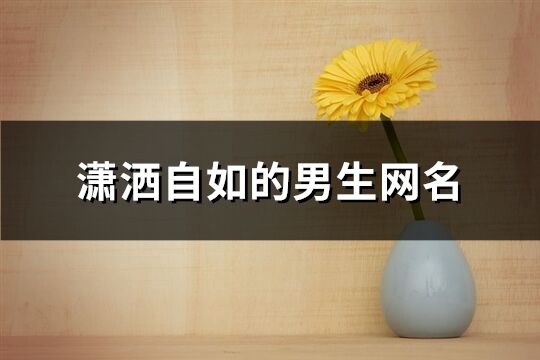 瀟灑自如的男生網名(60個)