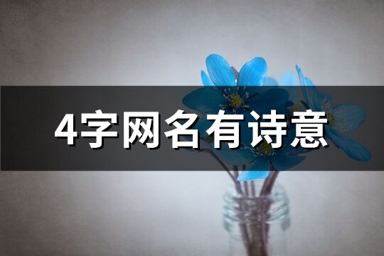 4字網(wǎng)名有詩(shī)意(89個(gè))