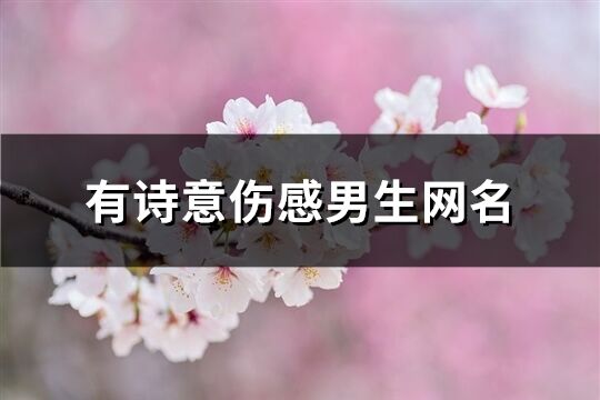 有詩意傷感男生網名(優選460個)