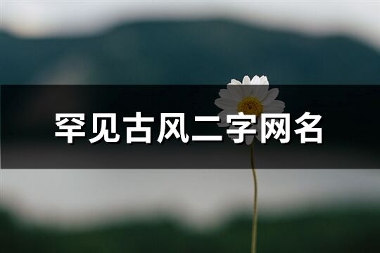 罕見古風二字網(wǎng)名(319個)