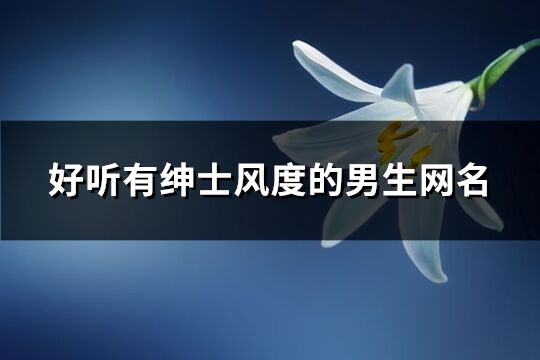 好聽有紳士風度的男生網名(176個)