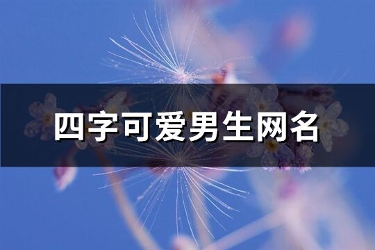 四字可愛男生網名(精選246個)