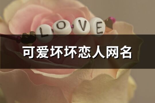 可愛壞壞戀人網名(優選99個)