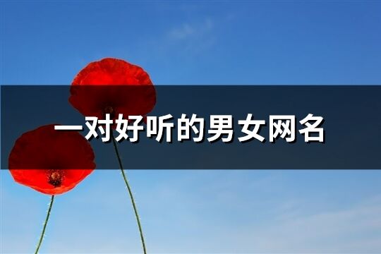 一對(duì)好聽(tīng)的男女網(wǎng)名(共313個(gè))