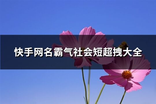 快手網名霸氣社會短超拽大全(共198個)