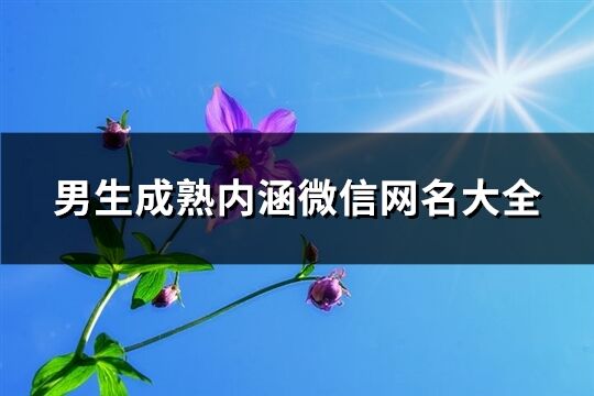 男生成熟內涵微信網名大全(2002個)
