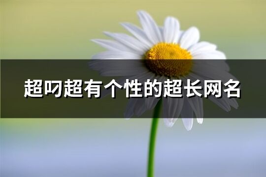 超叼超有個性的超長網(wǎng)名(優(yōu)選543個)