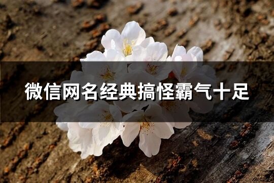 微信網(wǎng)名經(jīng)典搞怪霸氣十足(358個(gè))