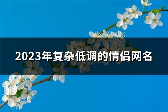 2023年復(fù)雜低調(diào)的情侶網(wǎng)名(364個(gè))