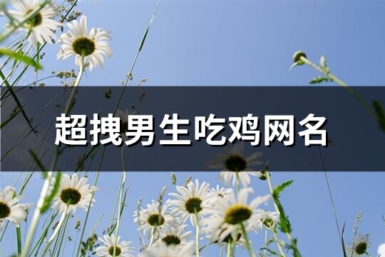 超拽男生吃雞網名(精選210個)
