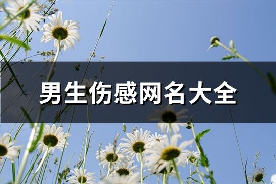 男生傷感網名大全(優選513個)