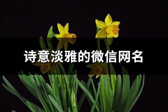 詩意淡雅的微信網(wǎng)名(優(yōu)選166個)