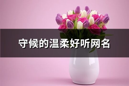 守候的溫柔好聽網名(精選62個)