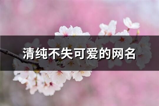 清純不失可愛的網(wǎng)名(精選288個)