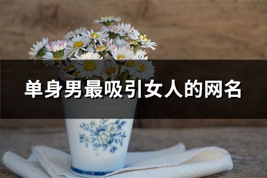 單身男最吸引女人的網名(精選387個)