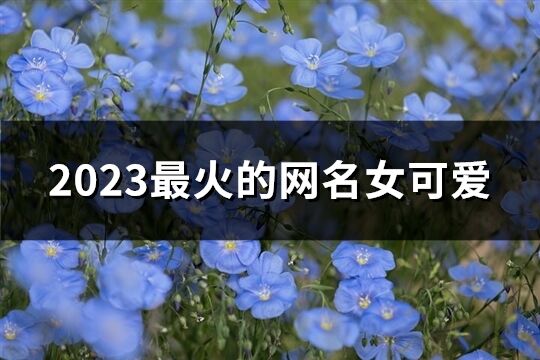 2023最火的網(wǎng)名女可愛(共583個(gè))