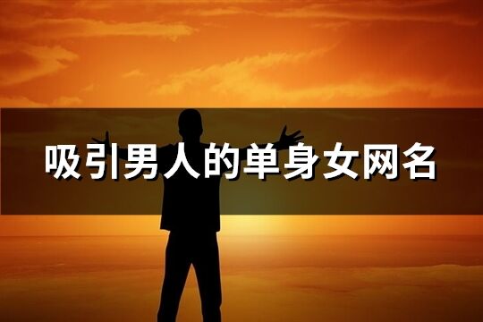 吸引男人的單身女網名(精選130個)