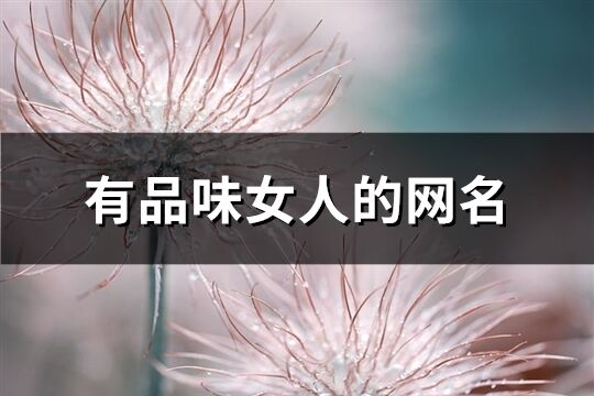有品味女人的網名(385個)