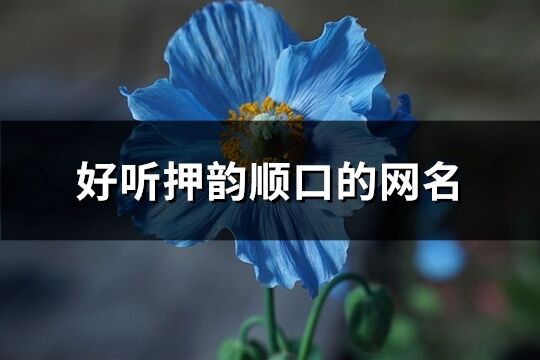 好聽押韻順口的網名(共190個)