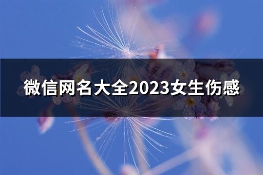 微信網名大全2023女生傷感(共273個)