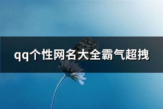 qq個(gè)性網(wǎng)名大全霸氣超拽(144個(gè))