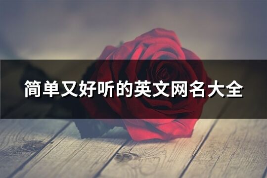 簡單又好聽的英文網名大全(共371個)