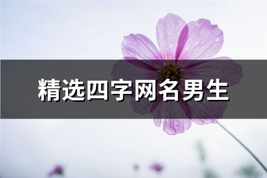精選四字網(wǎng)名男生(共693個(gè))