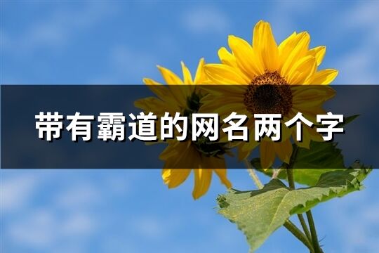 帶有霸道的網名兩個字(共1364個)