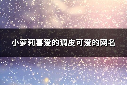小蘿莉喜愛的調皮可愛的網名(精選208個)