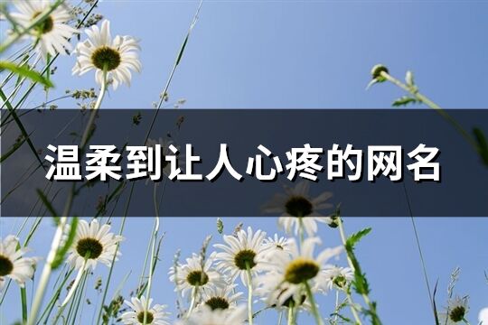溫柔到讓人心疼的網(wǎng)名(共164個)