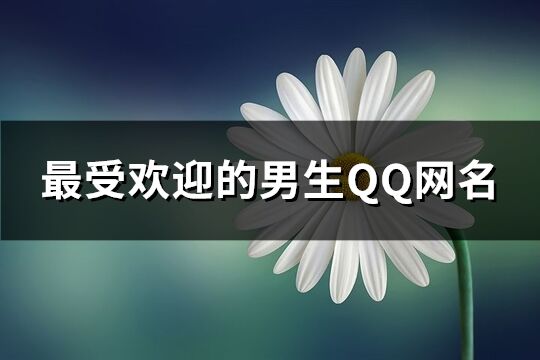最受歡迎的男生QQ網名(優選423個)