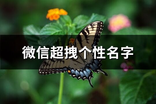 微信超拽個(gè)性名字(精選222個(gè))