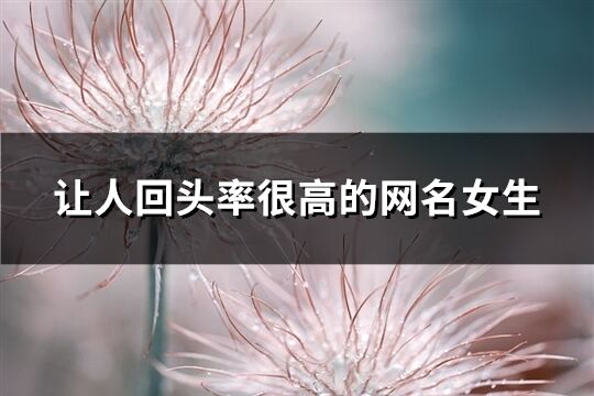 讓人回頭率很高的網名女生(共389個)
