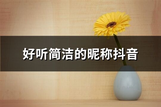 好聽簡潔的昵稱抖音(310個)