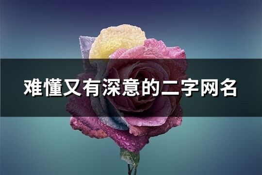 難懂又有深意的二字網名(優選264個)