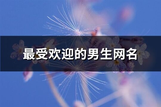 最受歡迎的男生網名(精選423個)