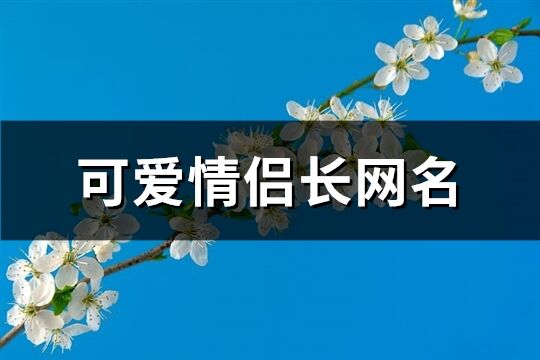 可愛情侶長網名(優選831個)