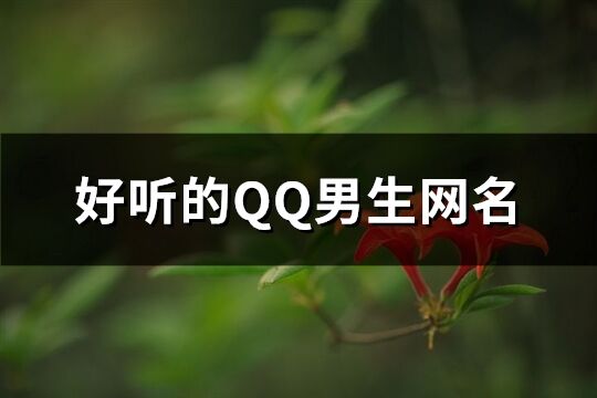 好聽的QQ男生網名(優選552個)