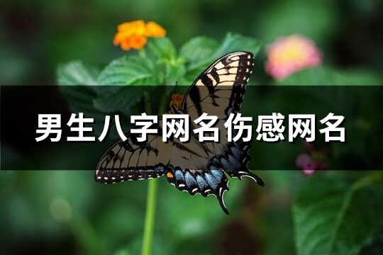 男生八字網(wǎng)名傷感網(wǎng)名(精選218個(gè))