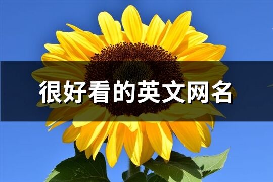 很好看的英文網名(共114個)