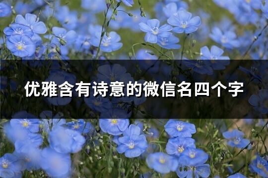 優雅含有詩意的微信名四個字(610個)