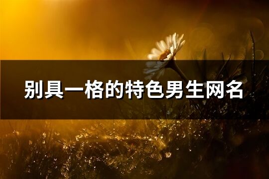 別具一格的特色男生網(wǎng)名(精選310個)