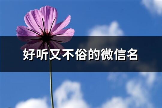 好聽又不俗的微信名(共379個)