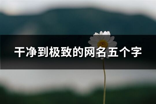 干凈到極致的網(wǎng)名五個字(共504個)
