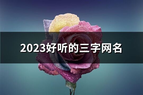 2023好聽的三字網(wǎng)名(優(yōu)選791個)