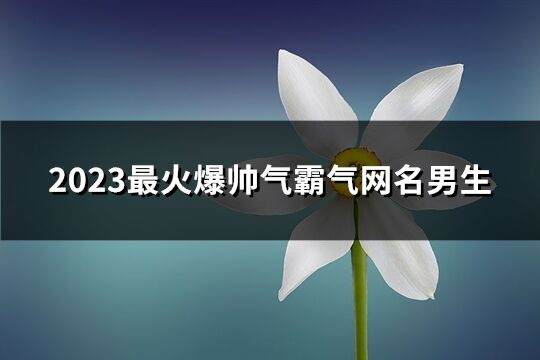 2023最火爆帥氣霸氣網名男生(共834個)