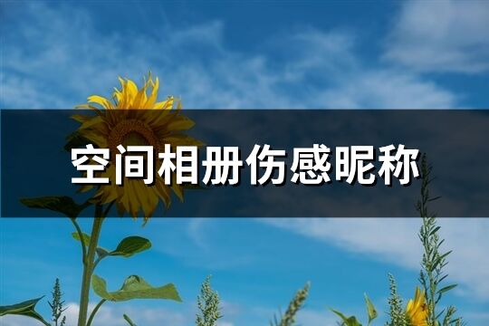 空間相冊傷感昵稱(共181個)