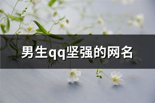 男生qq堅強的網名(共69個)