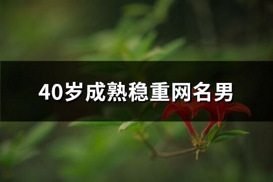 40歲成熟穩(wěn)重網(wǎng)名男(精選238個)