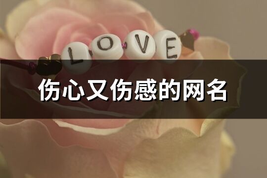 傷心又傷感的網(wǎng)名(761個(gè))